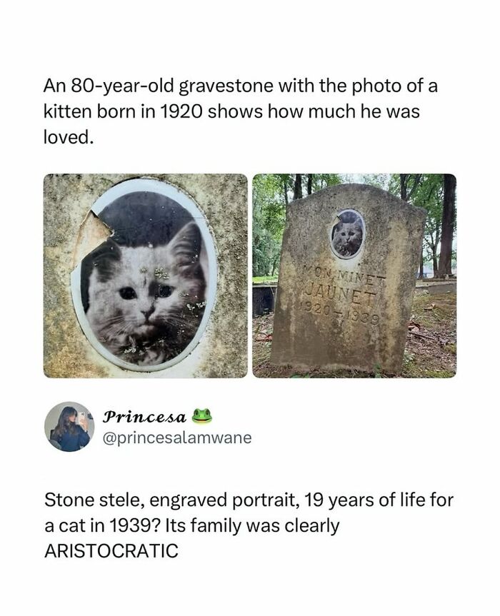 80-year-old gravestone of a cat with engraved portrait shows beloved pet