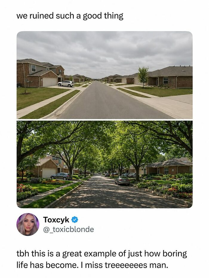 Comparison meme of boring and tree-lined streets missing trees funny meme