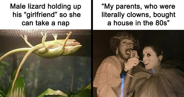 90 Random Memes To Start Your Morning With A Smile Instead Of An Existential Crisis