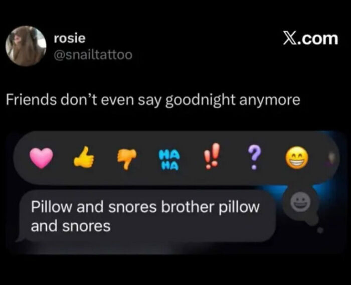A humorous text message exchange about friends not saying goodnight, showcased in a collection of hilarious internet photos.