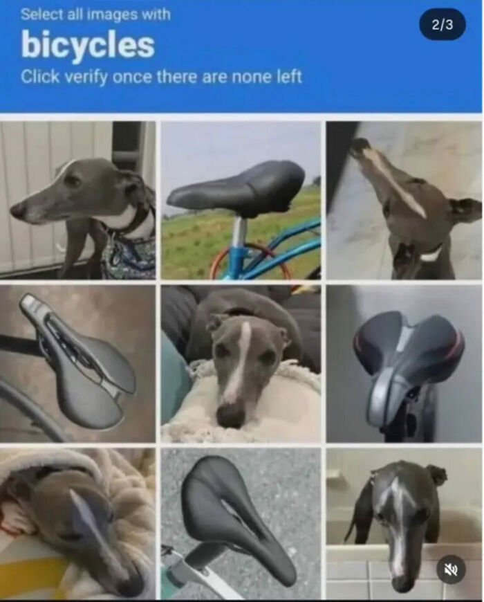 Hilarious photos of a CAPTCHA asking to select bicycles, with dog faces humorously resembling bike seats.