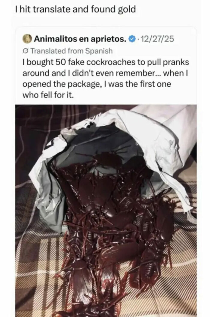 A funny screenshot of a translated tweet about someone buying 50 fake cockroaches for pranks and falling for their own trick, Internet humor.
