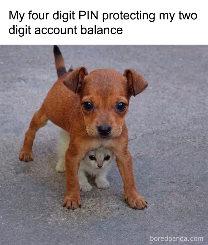 Random-Humorous-Memes