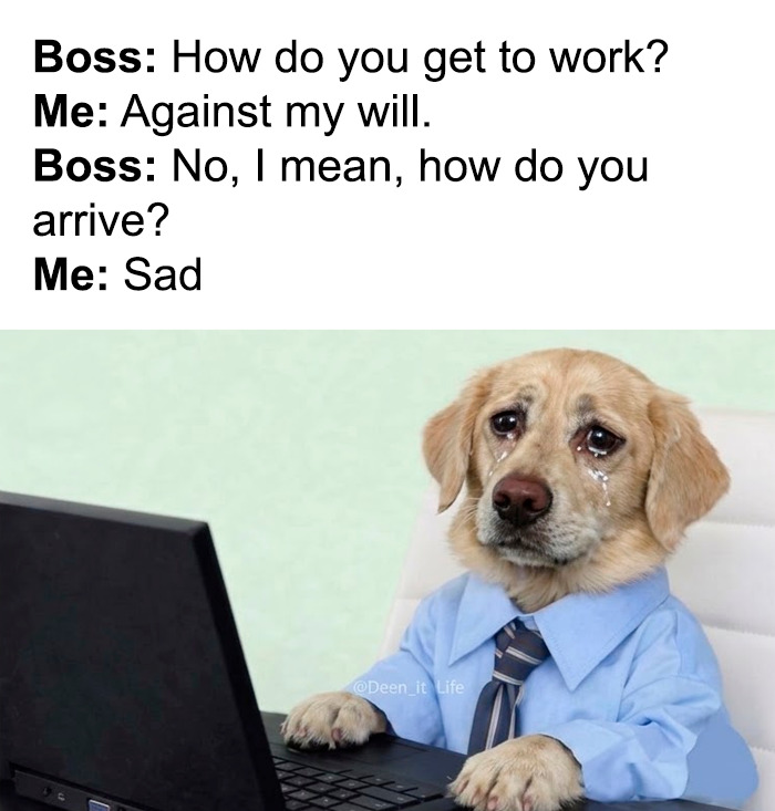Random-Humorous-Memes