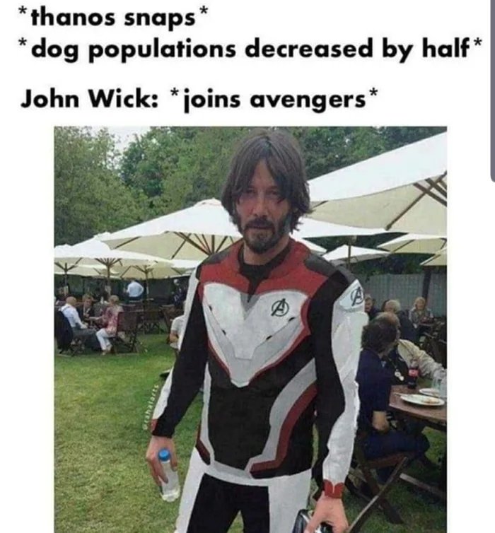 John Wick as an Avenger meme referencing Thanos snap and dog populations.