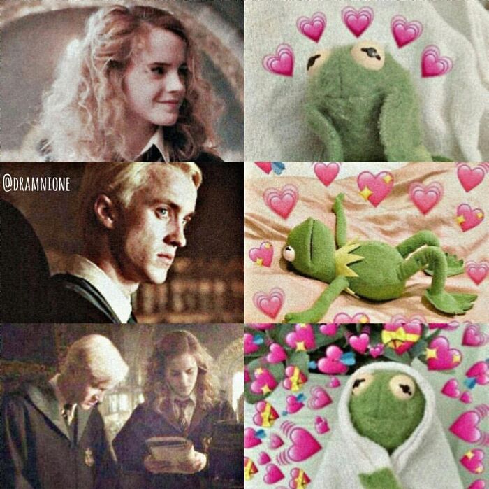 A cringe meme pairing Draco Malfoy and Hermione Granger next to Kermit the Frog with hearts