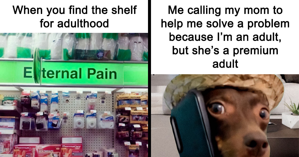 74 Hilariously Relatable Memes For Adults Who Still Don’t Know What They’re Doing