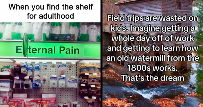 74 Hilariously Relatable Memes For Adults Who Still Don’t Know What They’re Doing