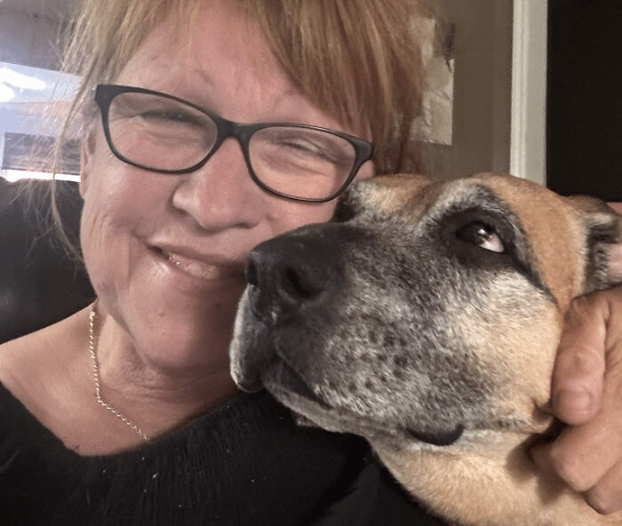 Rescue Dog Fought Off A Black Bear After It Followed Her Into The House And Attacked Her Owner