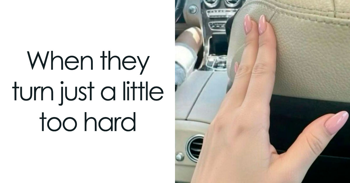 74 Funny Memes To Brighten Your Day 74 Funny Memes To Brighten Your Day