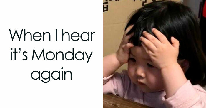 36 Funny Memes With A Side Of Sarcasm As It’s The Only Way To Cope With Having To Work