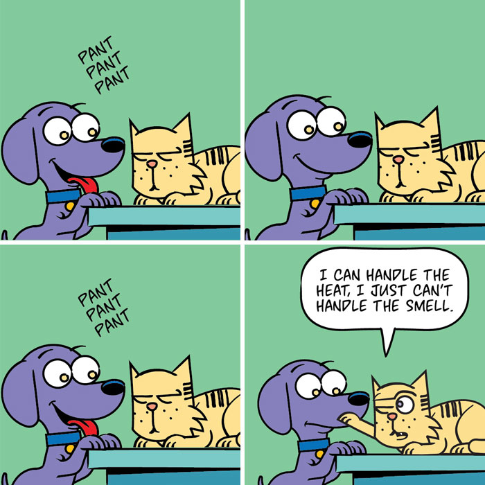 25 New Comics About My Dog And Cat, Who Couldn’t Be More Different If They Tried