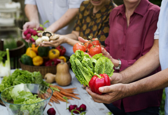 Group showing fresh vegetables including lettuce and red pepper