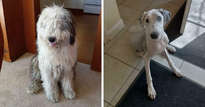 66 Before And After Photos That Show Surprising, Fascinating And Inspiring Transformations