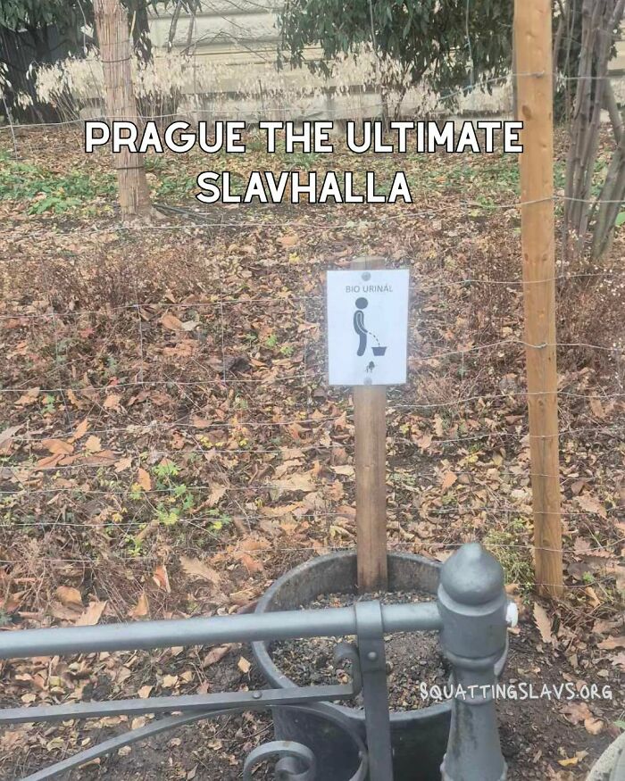 Bio Urinal