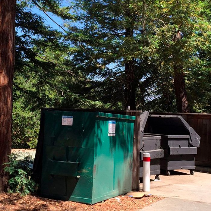 Green and black dumpsters outside under trees, related to the Brock Turner case. Green and black dumpsters outside under trees, related to the Brock Turner case.