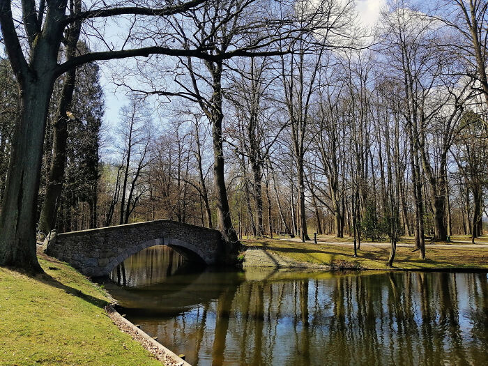 A tranquil stone bridge over a reflective pond surrounded by bare trees, hinting at quiet places with hidden unsettling stories.