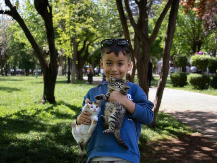 A boy in a small town holds two kittens, a scene of quiet joy in contrast to unsettling stories.