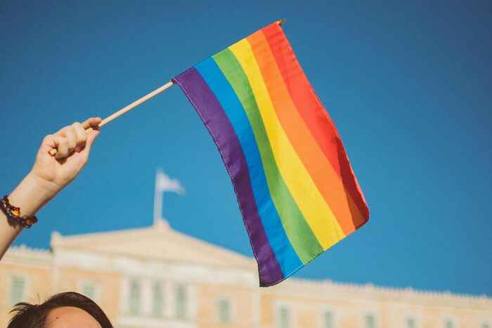 A person holds a rainbow pride flag high, representing diverse strange patients