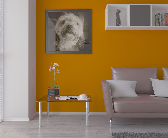A weird dog portrait hanging on a bright orange wall in someone's home.