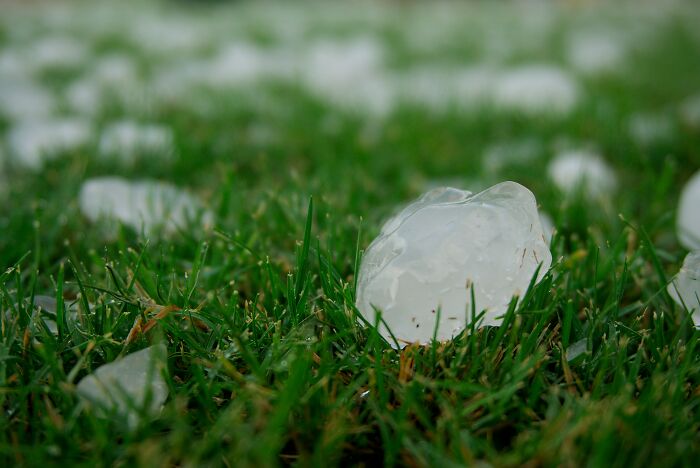 Large hail stones scattered across vibrant green grass, highlighting unexpected weird things at home.