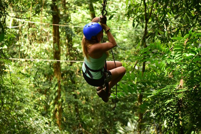 A person ziplining through a dense forest. Not something one would be prepared to see at someone's home.