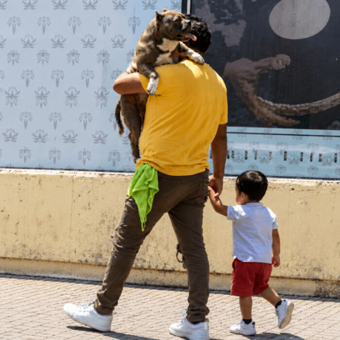 “The Ground Was Hot And My Dog Was Barefoot.” A Father Responds After Facing Online Criticism Over Carrying His Dog On His Shoulders While Holding His Young Son’s Hand