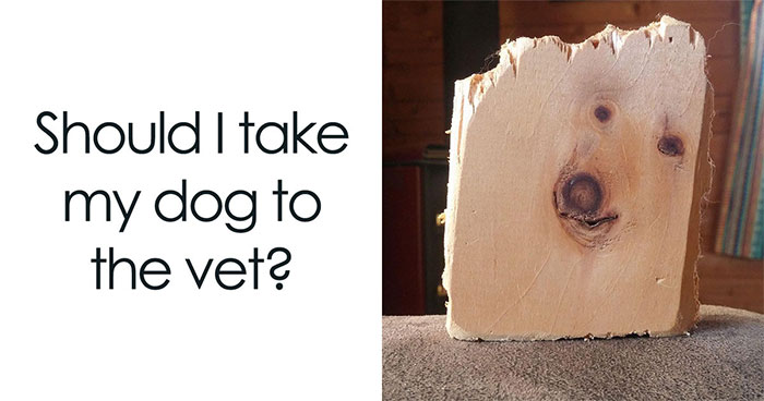 62 Times Ordinary Objects Looked Like Something Else, As Shared By The ‘Pareidolia.org’ Community