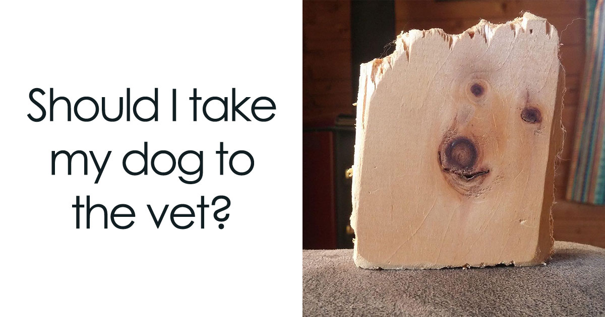 62 Funniest Examples Of Pareidolia Shared By People Who See Faces Everywhere 62 Funniest Examples Of Pareidolia Shared By People Who See Faces Everywhere