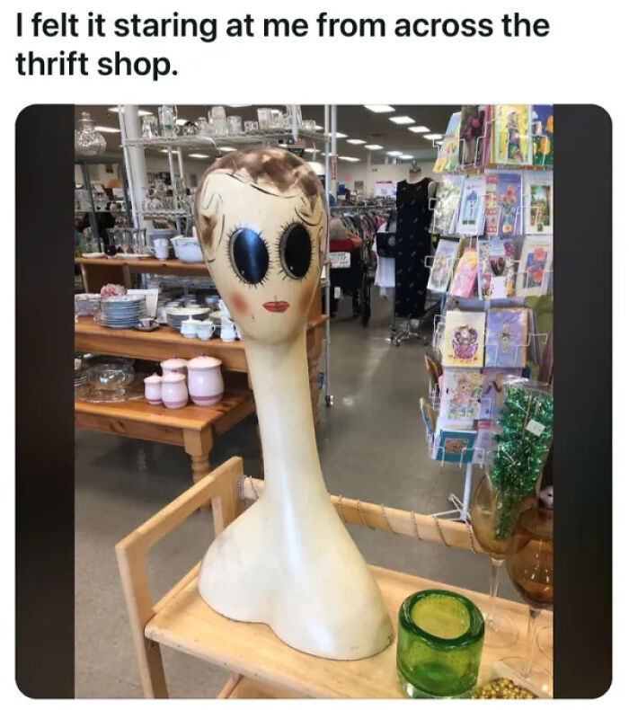 An eerie, long-necked mannequin head with large, dark eyes stares from a secondhand store shelf, a cursed treasure.