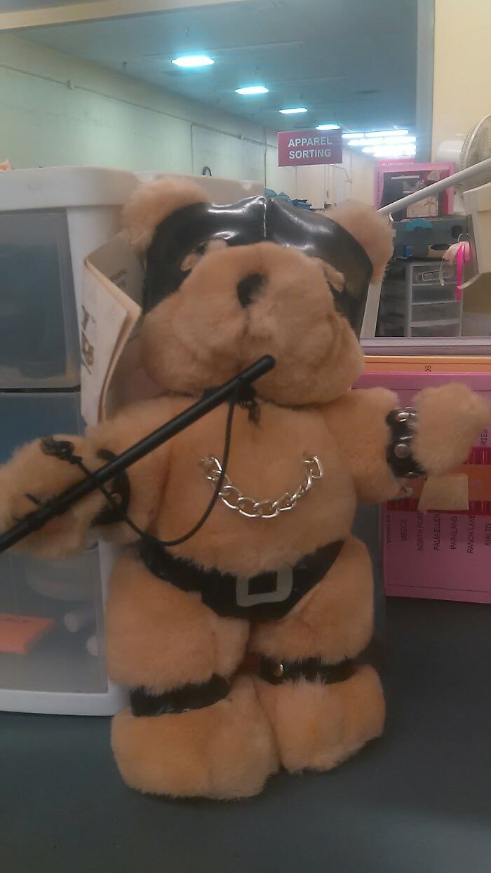 An unhinged secondhand teddy bear dressed in a black leather harness, mask, and holding a whip, found in an apparel sorting area.