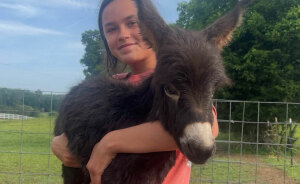 Officer Facing Backlash After Entering Family's Pasture Without Permission And Firing On Their Baby Pet Donkey