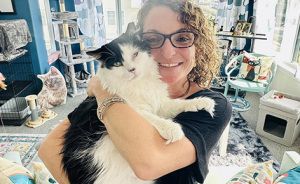 Nonprofit Under Fire After Refusing To Let Specific Group Of People Adopt Kittens: “How Did They Know?”