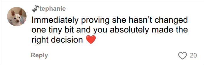 An online comment supporting the hairdresser's decision not to do his childhood bully's hair.