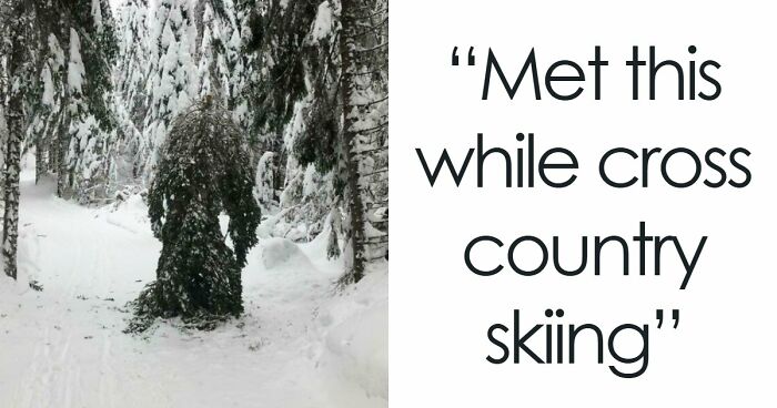 69 Truly Bizarre Things People Had To Take A Photo Of To Make Sure They’re Not Hallucinating (New Pics)