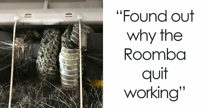 69 Truly Bizarre Things People Had To Take A Photo Of To Make Sure They’re Not Hallucinating (New Pics)
