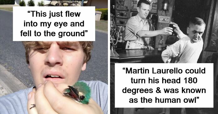 69 Truly Bizarre Things People Had To Take A Photo Of To Make Sure They’re Not Hallucinating (New Pics)