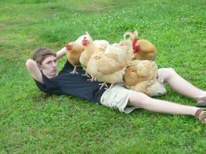 Unhinged images of a young man lying in grass covered with several chickens.