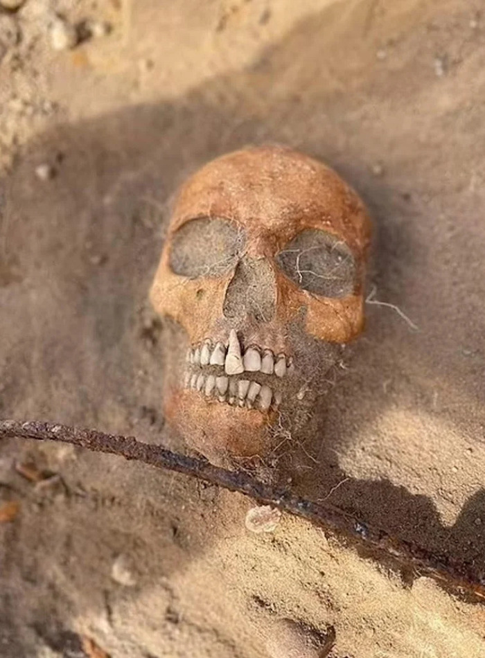 They Feared A Teen Girl Was A Vampire And Trapped Her Grave — Centuries Later, Experts Have A Different Theory They Feared A Teen Girl Was A Vampire And Trapped Her Grave — Centuries Later, Experts Have A Different Theory