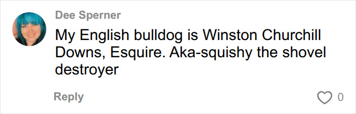 A social media comment about ridiculous pet names, featuring an English bulldog named Winston Churchill Downs. A social media comment about ridiculous pet names, featuring an English bulldog named Winston Churchill Downs.