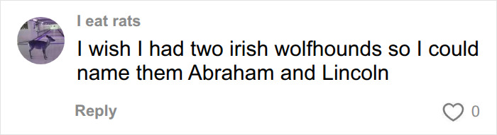 A social media user wishes for two Irish wolfhounds to name them Abraham and Lincoln. A social media user wishes for two Irish wolfhounds to name them Abraham and Lincoln.