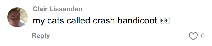 A social media user shares the ridiculous pet name Crash Bandicoot for their cat. A social media user shares the ridiculous pet name Crash Bandicoot for their cat.