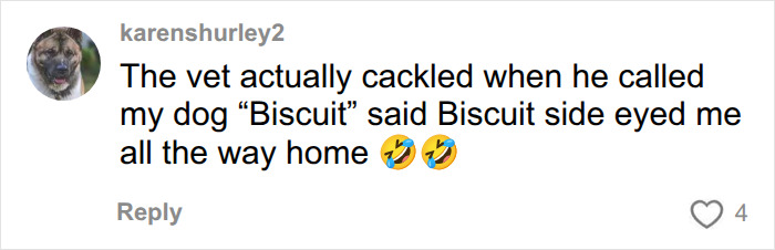 A social media user shares the ridiculous pet name Biscuit, which made the vet cackle. A social media user shares the ridiculous pet name Biscuit, which made the vet cackle.