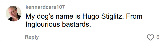 A social media comment from kennardcara107, sharing her dog's ridiculous pet names, Hugo Stiglitz. A social media comment from kennardcara107, sharing her dog's ridiculous pet names, Hugo Stiglitz.