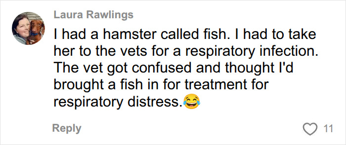 A comment from Laura Rawlings about her hamster named Fish, causing confusion at the vet. The vet shares ridiculous pet names. A comment from Laura Rawlings about her hamster named Fish, causing confusion at the vet. The vet shares ridiculous pet names.
