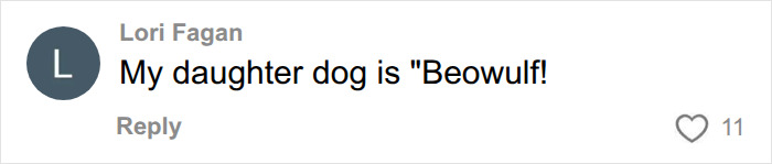 A social media comment from Lori Fagan, saying her daughter's dog is named Beowulf, an example of ridiculous pet names. A social media comment from Lori Fagan, saying her daughter's dog is named Beowulf, an example of ridiculous pet names.
