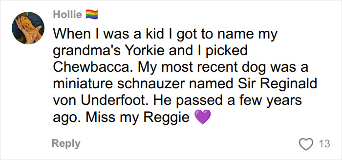 A social media comment from Hollie, sharing her experiences with pet names for her Yorkie and miniature schnauzer. A social media comment from Hollie, sharing her experiences with pet names for her Yorkie and miniature schnauzer.