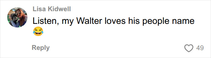 A social media comment from Lisa Kidwell saying her dog Walter loves his human pet names. A social media comment from Lisa Kidwell saying her dog Walter loves his human pet names.