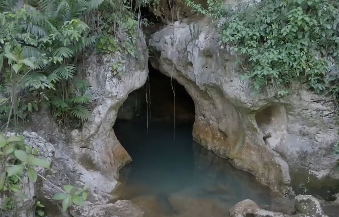 A cave entrance with murky water and lush foliage, suggestive of eerie places and ancient entrances. A cave entrance with murky water and lush foliage, suggestive of eerie places and ancient entrances.