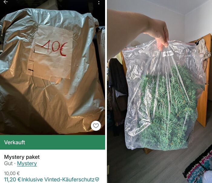 Unhinged Vinted posts show a mystery package, sold for 10 euros, containing a small artificial Christmas tree.